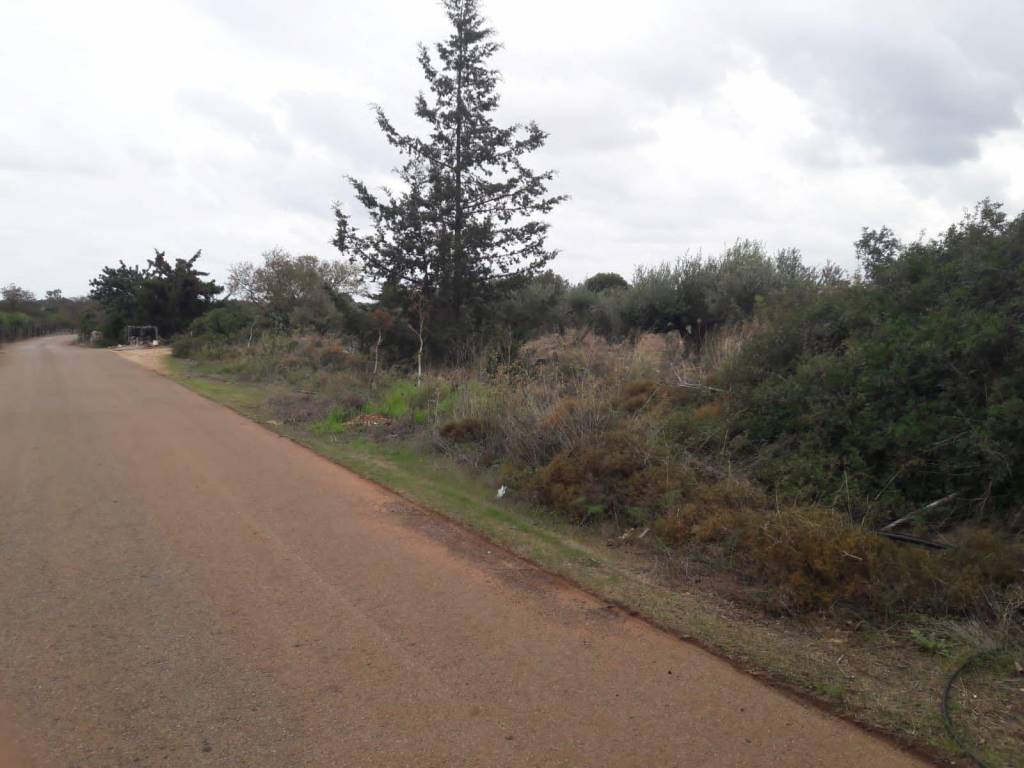 Land for sale in Aroni
