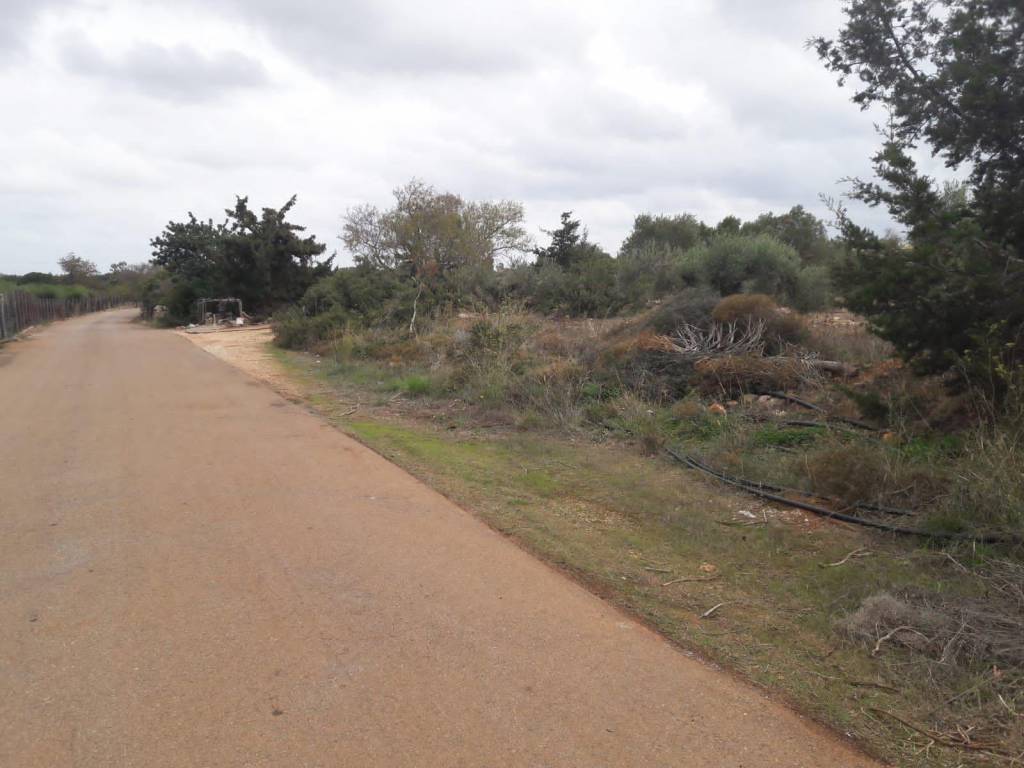 Land for sale in Aroni