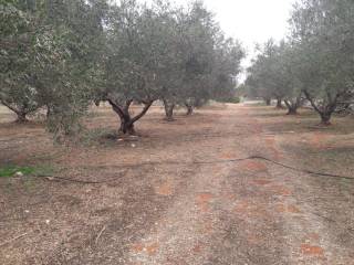 Land for sale in Aroni