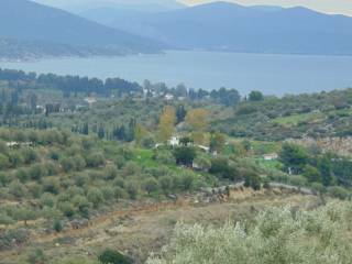 Plot in Tolo with see view  7000 sq.m.