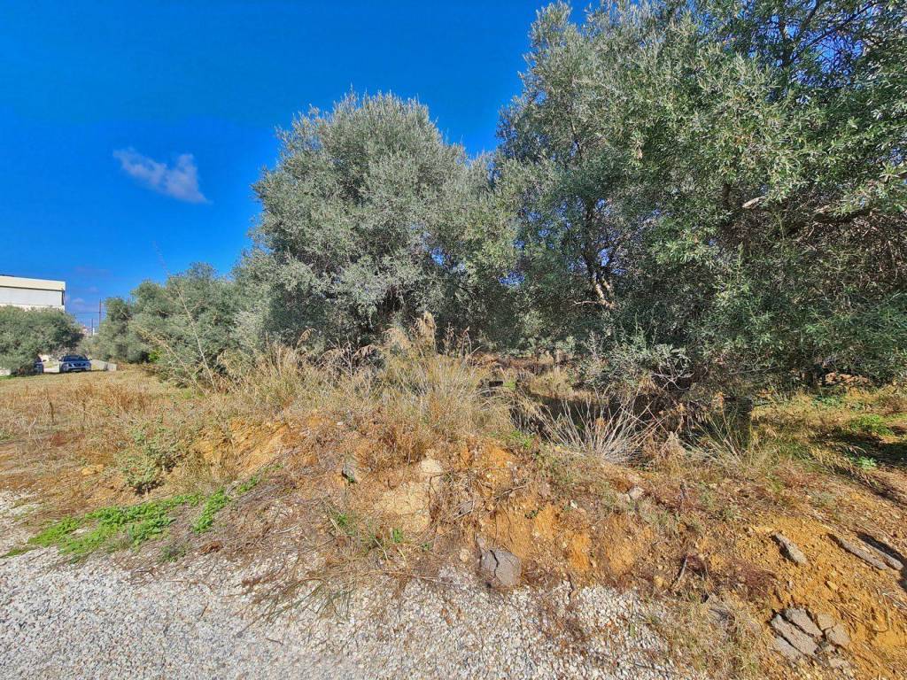 Land for sale in Daratso