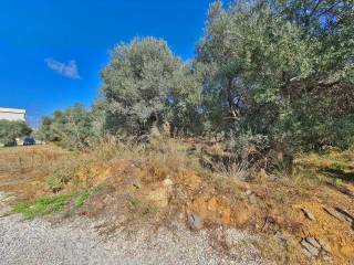 Land for sale in Daratso