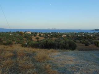 410 acres one-piece plot, 150 meters from famous beach,