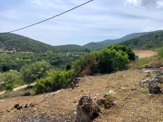 Landscape and terrain of land for sale