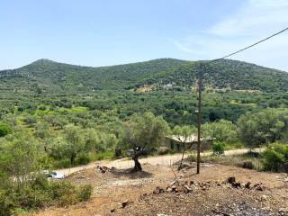 Landscape and terrain of land for sale