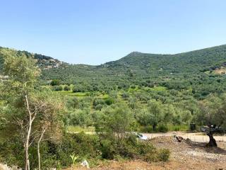 Terrain and landsape of land for sale