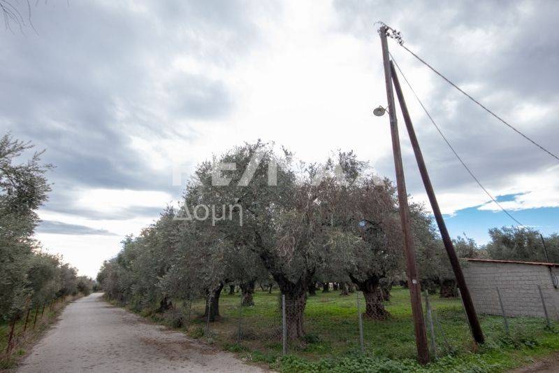 Εξωτερικός χώρος