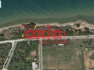 Θάσος, Σκάλα Σωτήρος: Πωλούνται 2 εξαιρετικα παραθαλάσσια Οικόπεδα