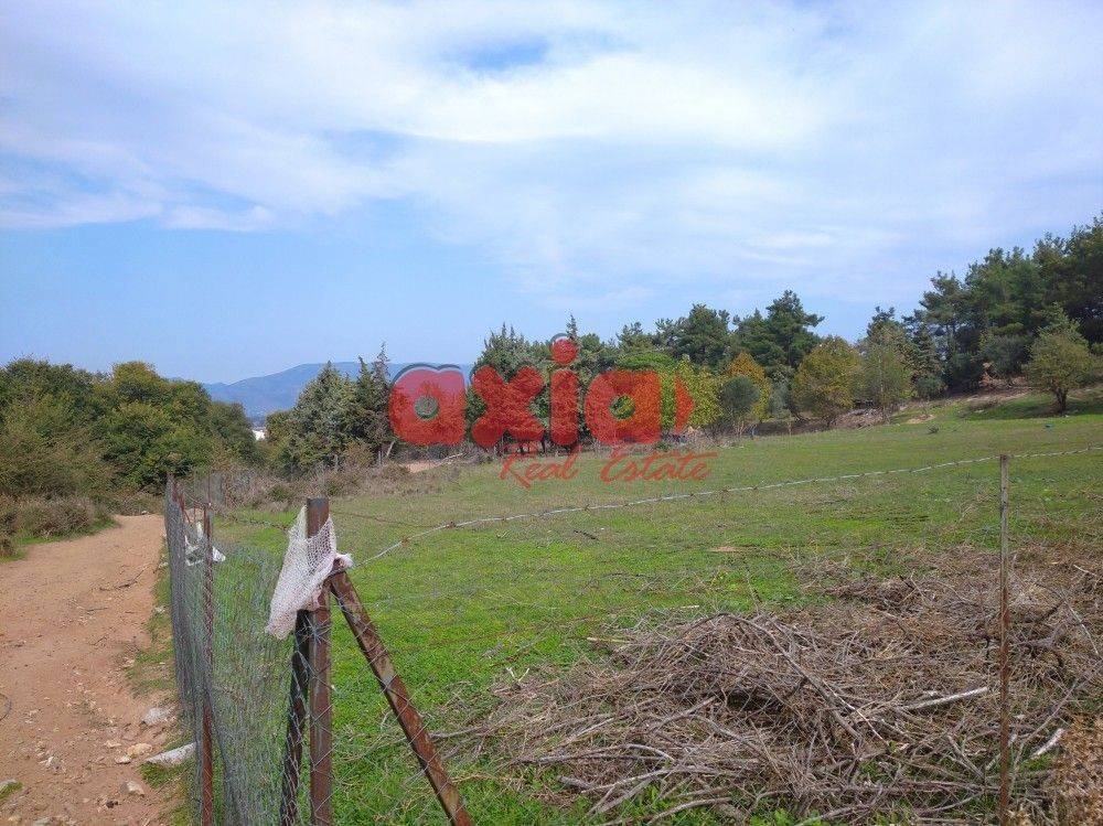 Ν. Καβάλας, Αμισιανα: Πωλείται Αγροτεμάχι