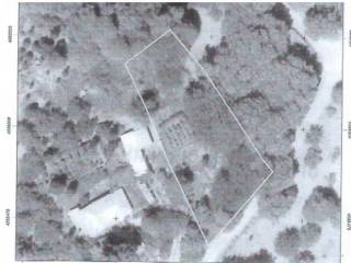 Οικόπεδο 996τ.μ.