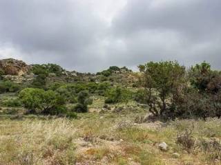 Οι ορεινοί όγκοι συμβάλουν στην άγρια ομορφιά του τοπίου