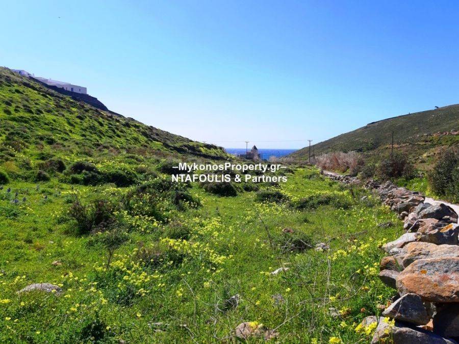 Mykonos real estate - Plot 10.007 sq.m in Elia