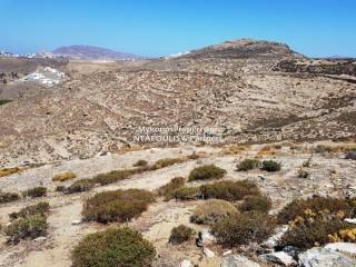 Mykonos real estate -For sale plot 21,000 sq.m in Elia