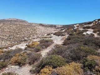 Mykonos real estate -For sale plot 21,000 sq.m in Elia