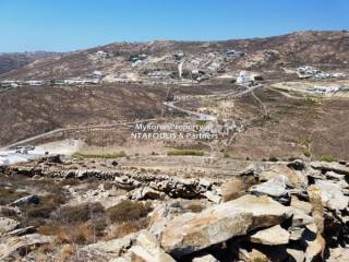 Mykonos real estate -For sale plot 21,000 sq.m in Elia