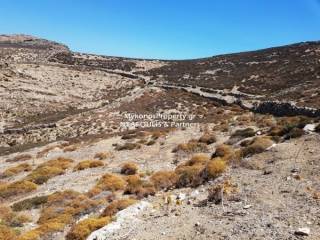 Mykonos real estate -For sale plot 21,000 sq.m in Elia