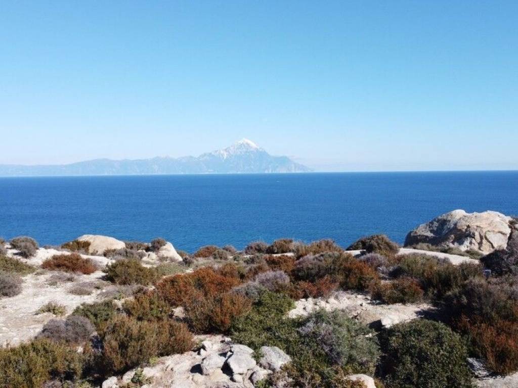 7 - Πωλείται γή έκτασης 500 τμ. στο Κριαρίτσι.