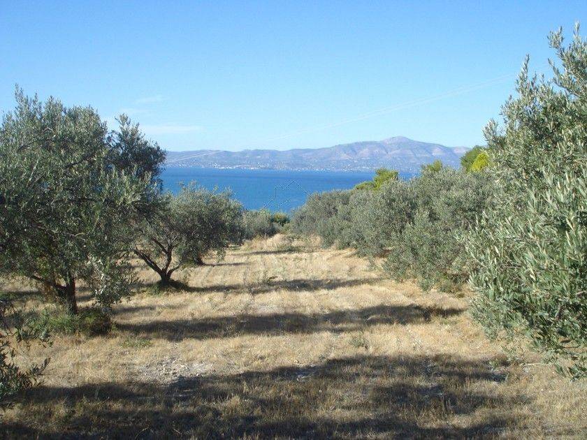 1 - Πωλείται γή έκτασης 4000 τμ. στην Αττική.