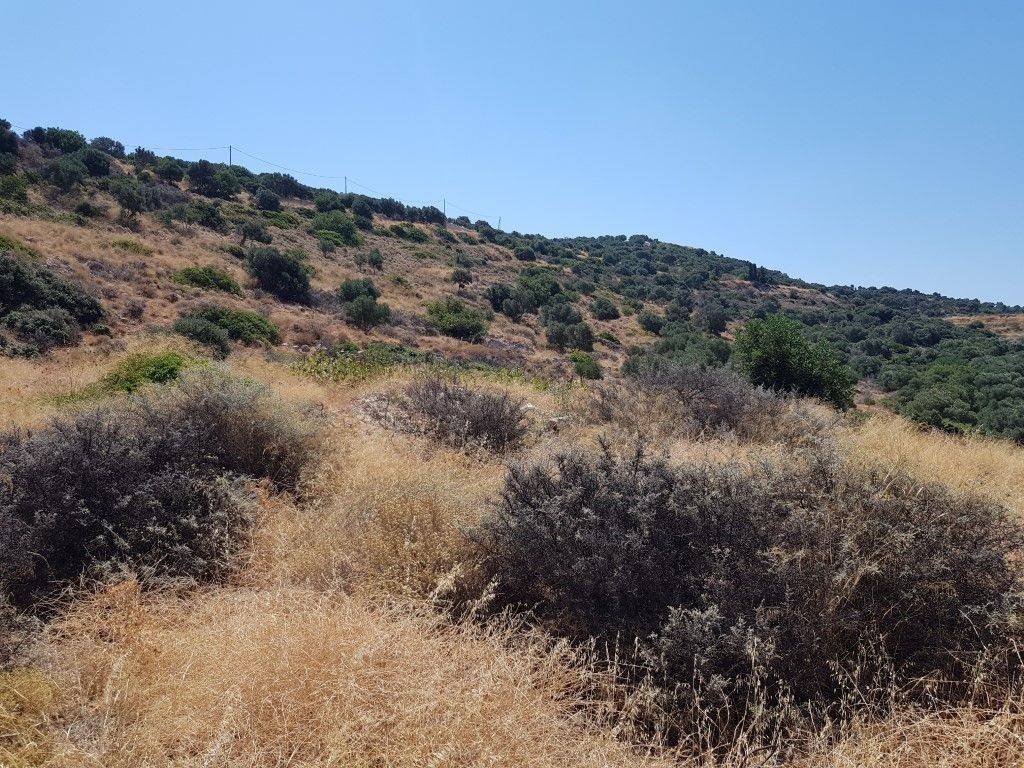 4 - Πωλείται γή έκτασης 9500 τμ. στην Κρήτη.
