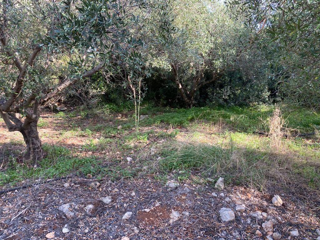 2 - Πωλείται γη έκτασης 2019 μ² στην Κρήτη.