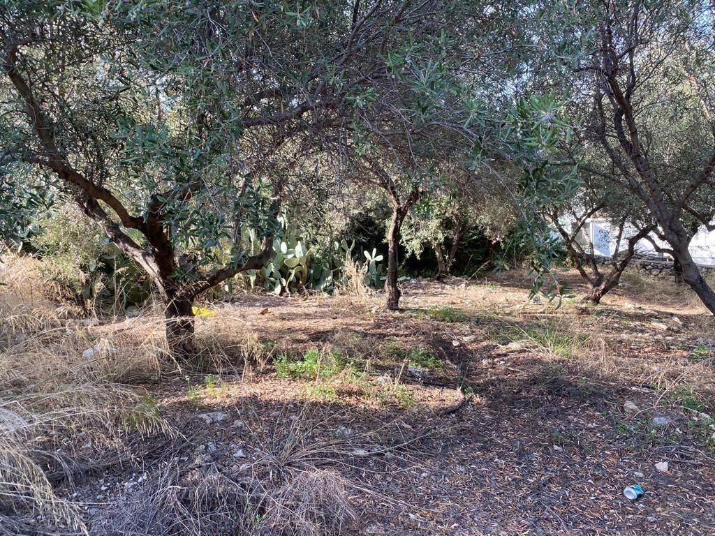 3 - Πωλείται γη έκτασης 2019 μ² στην Κρήτη.
