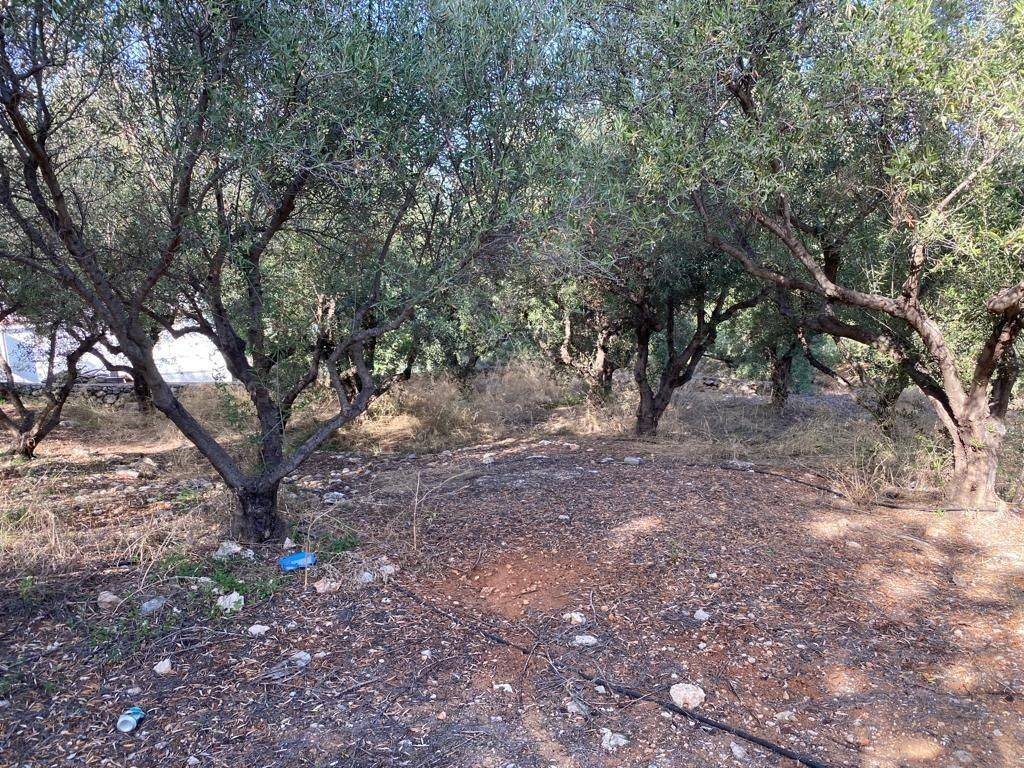 5 - Πωλείται γη έκτασης 2019 μ² στην Κρήτη.
