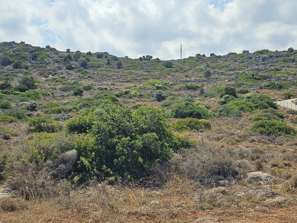 4 - Πωλείται γη έκτασης 2100 μ² στην Κρήτη.