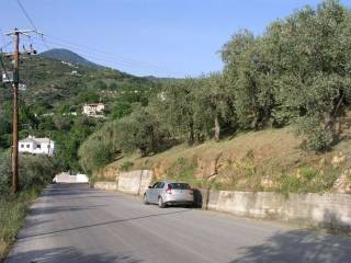 Πωλείται αγροτεμάχιο 6000τμ στον Αγ.Βλάσιο Πηλίου - KTISIS