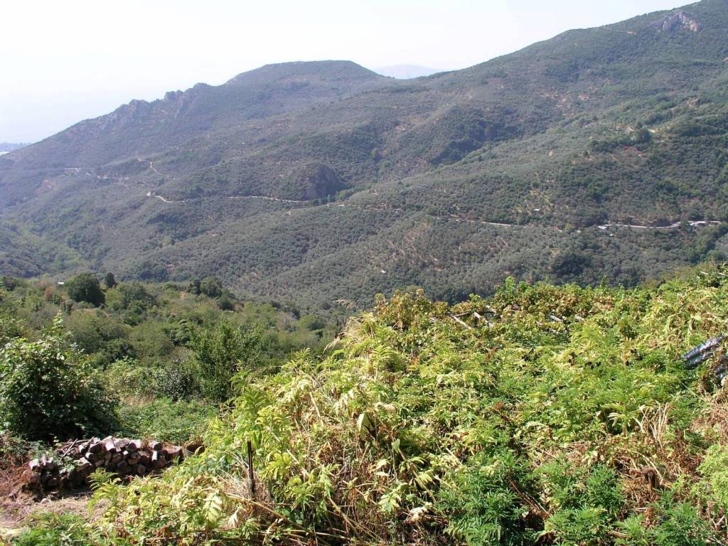 Πωλείται παλιά πέτρινη οικία στον Αγ.Λαυρέντιο Πηλίου-KTISIS