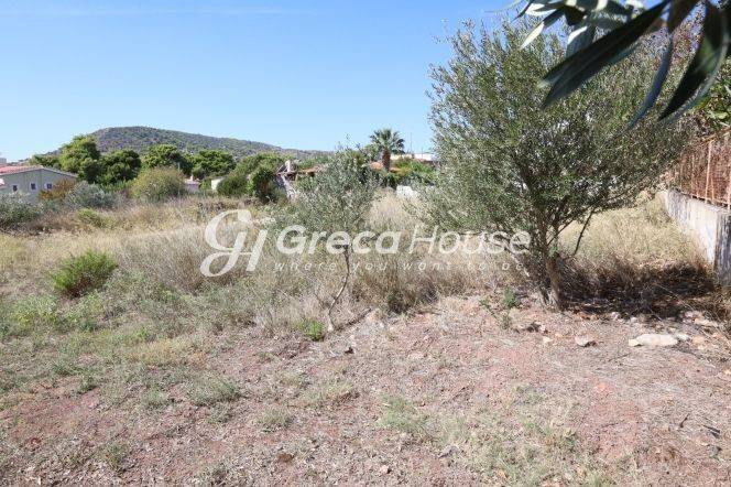 Plot for sale in Lagonisi Attica