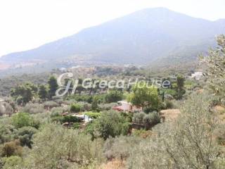 Sloping Plot with Sea View for Sale in Ancient Epidaurus