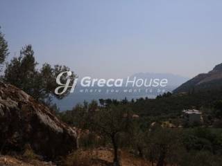 Sloping Plot with Sea View for Sale in Ancient Epidaurus