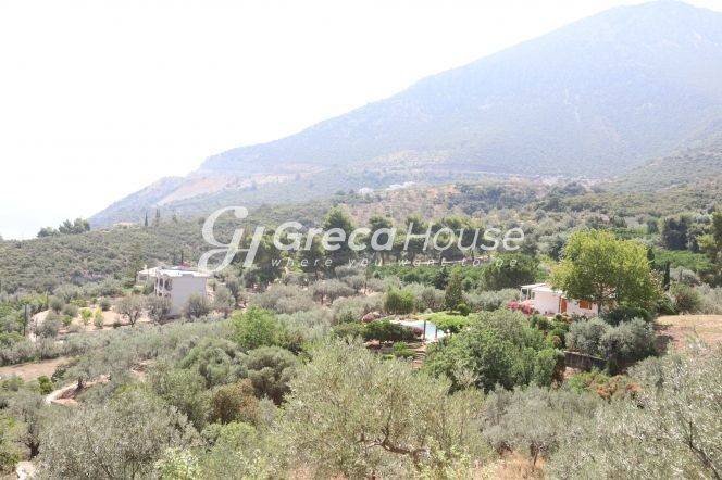 Sloping Plot with Sea View for Sale in Ancient Epidaurus