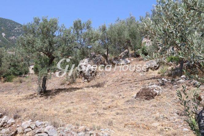 Sloping Plot with Sea View for Sale in Ancient Epidaurus