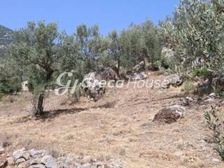 Sloping Plot with Sea View for Sale in Ancient Epidaurus