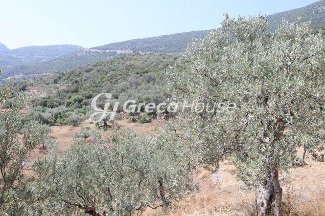 Sloping Plot with Sea View for Sale in Ancient Epidaurus