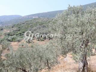 Sloping Plot with Sea View for Sale in Ancient Epidaurus