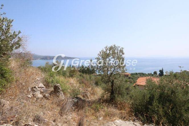 Sloping Plot with Sea View for Sale in Ancient Epidaurus
