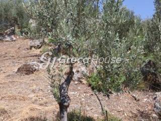 Sloping Plot with Sea View for Sale in Ancient Epidaurus