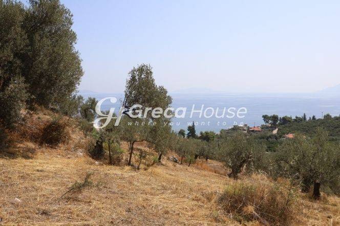 Sloping Plot with Sea View for Sale in Ancient Epidaurus