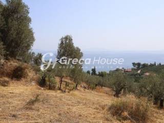 Sloping Plot with Sea View for Sale in Ancient Epidaurus