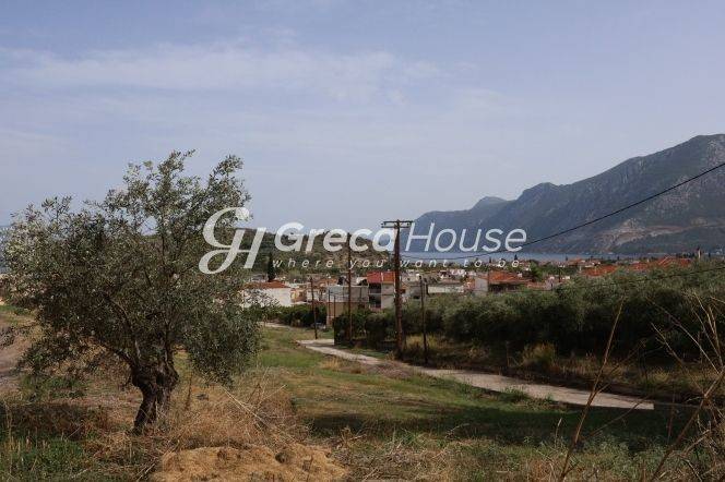 Plot for sale in Ancient Epidavros