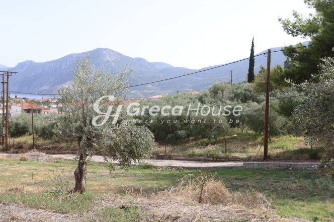 Plot for sale in Ancient Epidavros