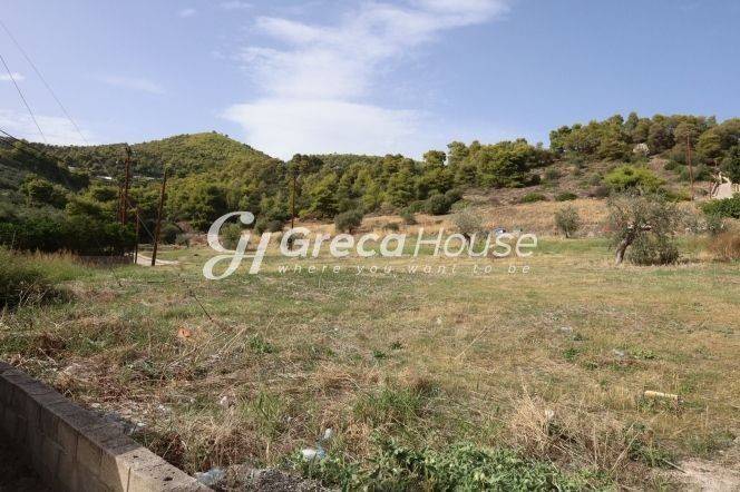 Plot for sale in Ancient Epidavros