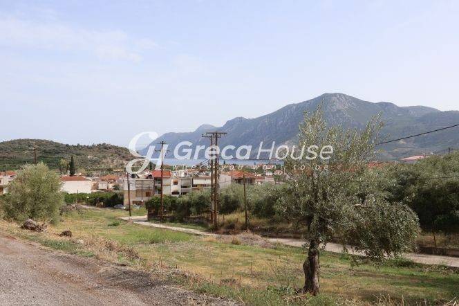 Plot for sale in Ancient Epidavros