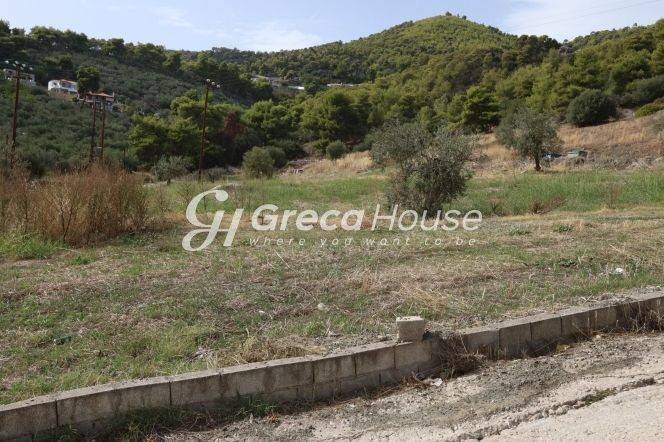 Plot for sale in Ancient Epidavros