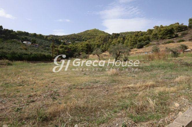 Plot for sale in Ancient Epidavros