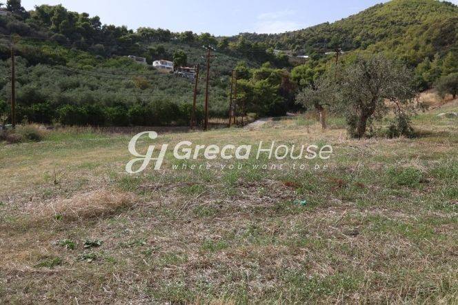 Plot for sale in Ancient Epidavros