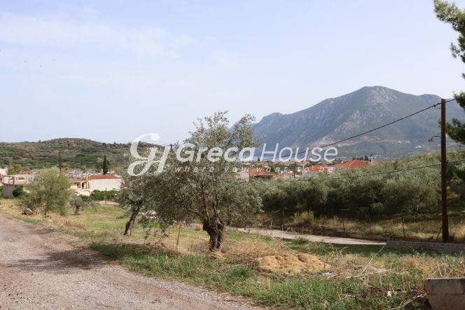 Plot for sale in Ancient Epidavros