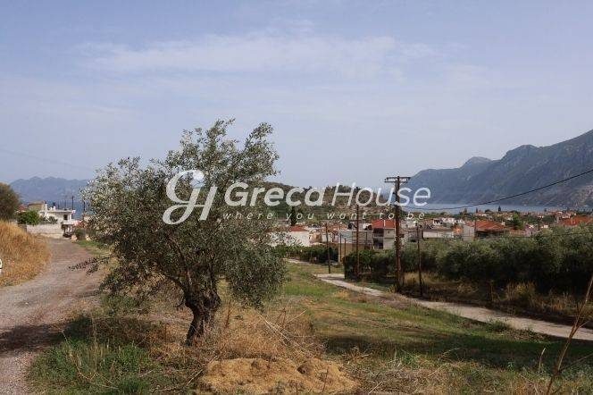 Plot for sale in Ancient Epidavros